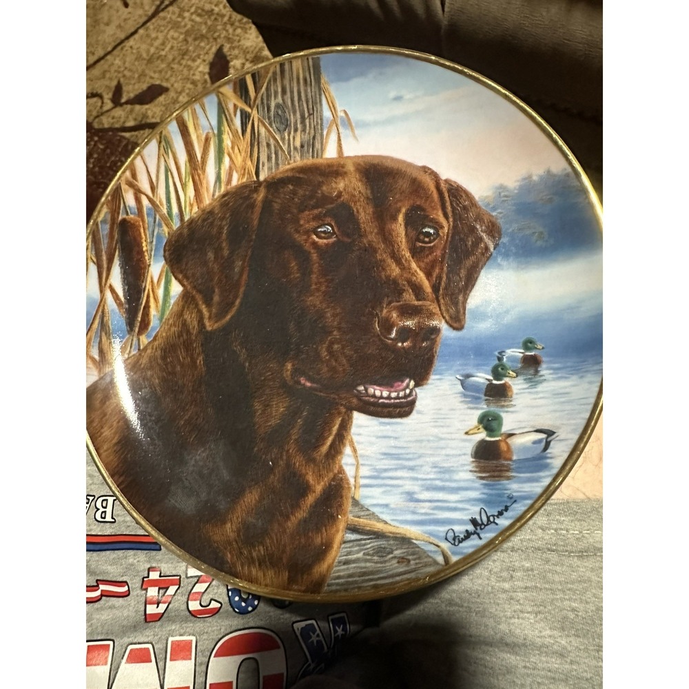 Ready For Action Franklin Mint Collector Plate